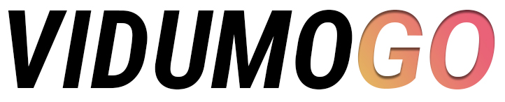 Vidumogo Logo